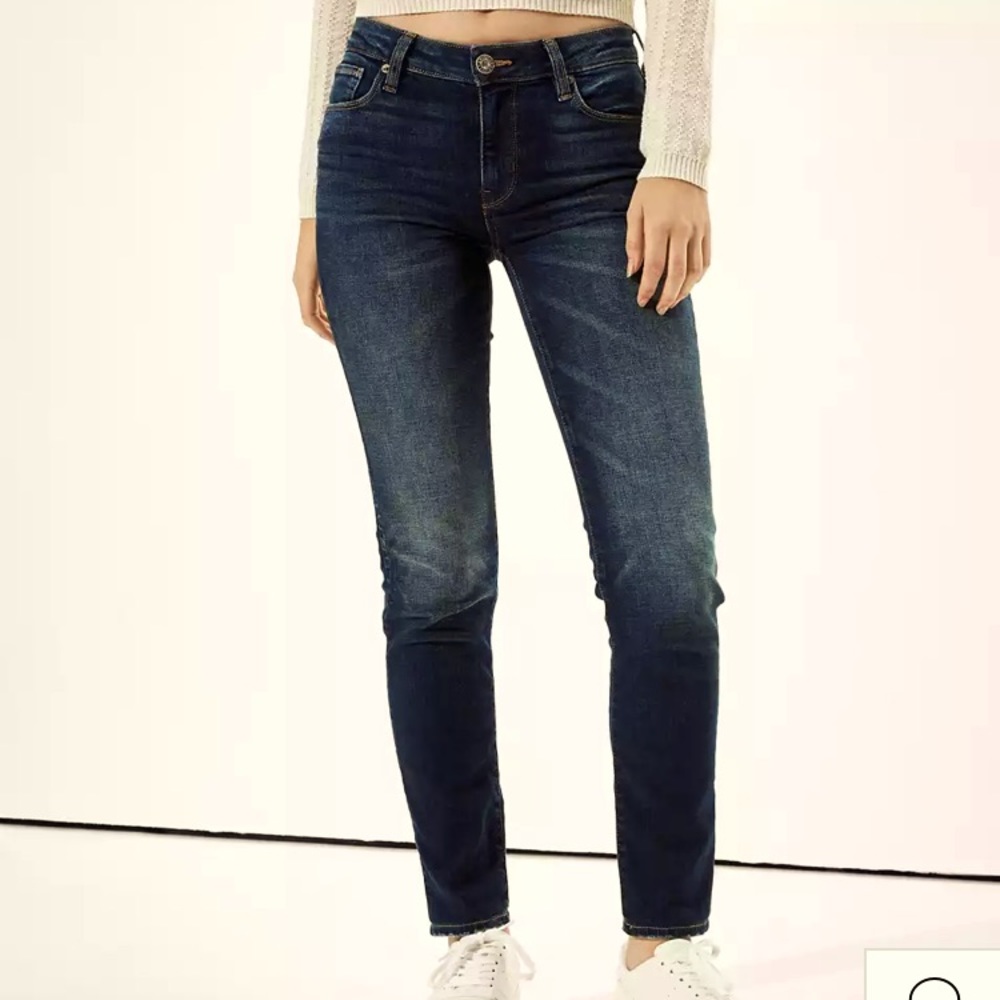 American Eagle Skinny Stretch Jeans Size 2 Long